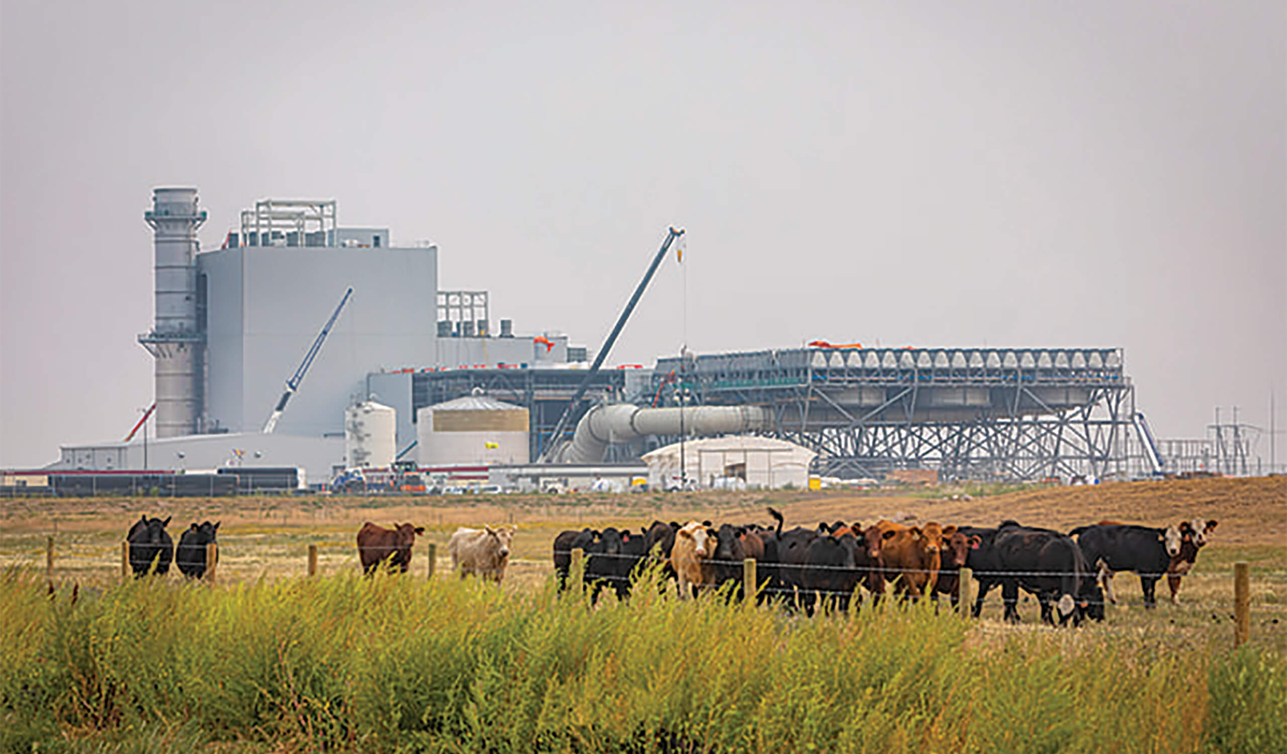 Chinook Power Station